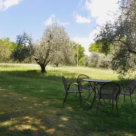 Agriturismo Testalepre Greve in Chianti Buitenkant foto