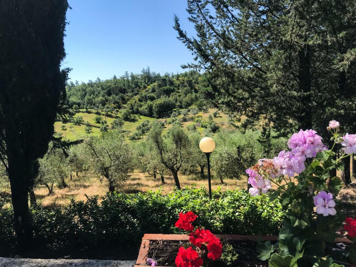 Agriturismo Testalepre Greve in Chianti Buitenkant foto